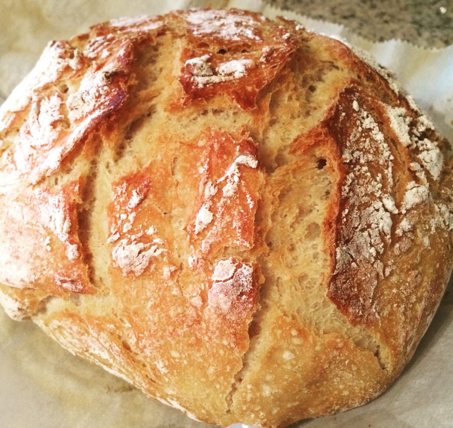 No Knead Bread | scrambledandspiced.com